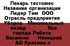 Пекарь-тестомес › Название организации ­ Лидер Тим, ООО › Отрасль предприятия ­ Уборка › Минимальный оклад ­ 30 000 - Все города Работа » Вакансии   . Ненецкий АО,Красное п.